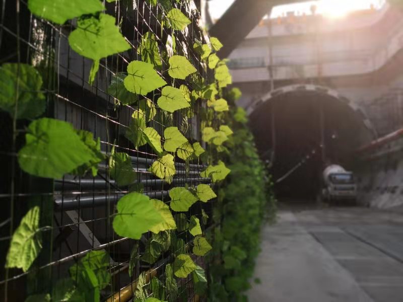 周家嘴路隧道主线今日通车 “刚柔”相济的创新绿化设计，打造城市地下动脉新标杆